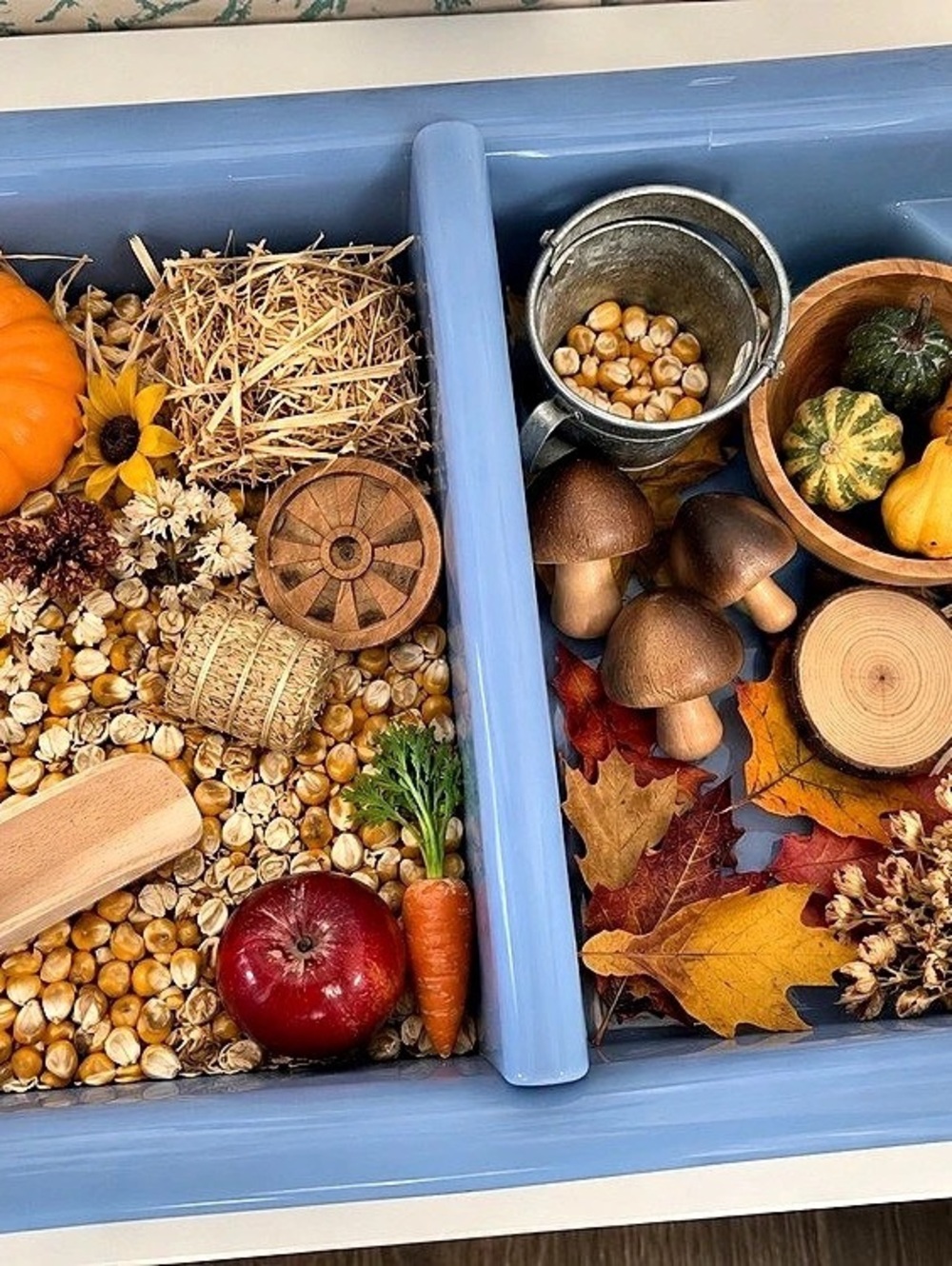 Fall farm sensory bin